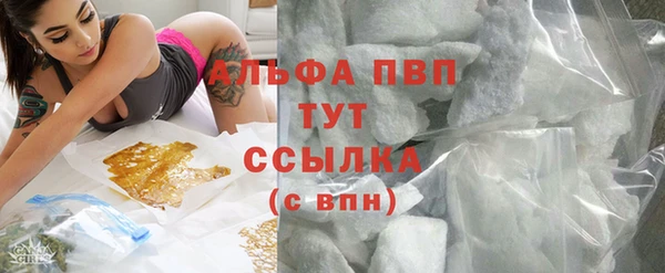 spice Володарск
