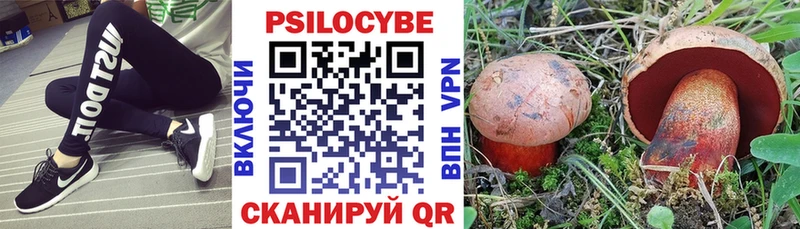 Галлюциногенные грибы Psilocybe Пестово